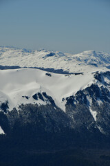 Wall Mural - Snow mountain forest panorama background patagonia chile