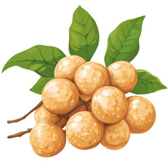 Sticker - Longan