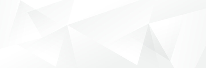 Wall Mural - abstract white geometric banner design background.