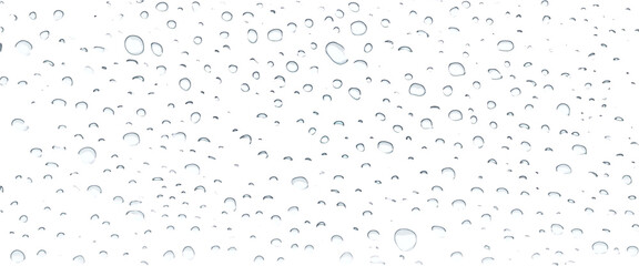 Wall Mural - water drops on glass. rain droplets against transparent surface. clear bubbles texture isolated on w