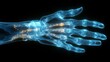 © Emiliia - X-ray of a human hand with fingers fully extended showcasing skeletal structure and joint alignment