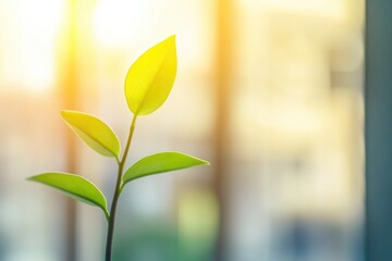 Sticker - A small plant emerging from the soil