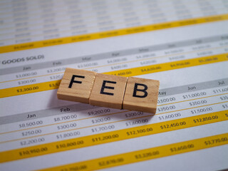 Poster - Financial overview for february budget analysis office report professional data insights