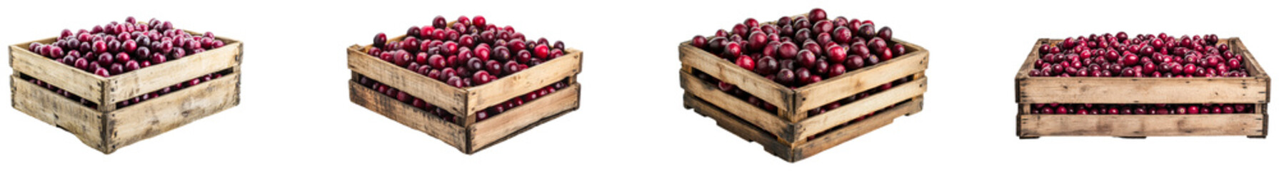 Wall Mural - Abundant harvest of fresh red grapes in wooden crates