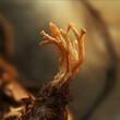 © kestrel - Cordyceps An image of the cordyceps plant highlighting its unique shape and natural strength with a warm and muted color scheme