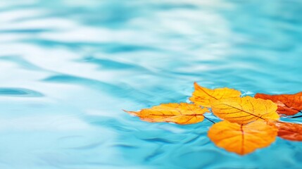 Wall Mural - Vibrant autumn leaves drift peacefully on gentle blue water, capturing the essence of a calm fall day in a relaxing environment