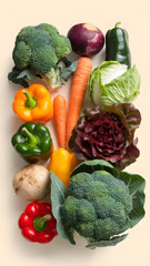 Wall Mural - A colorful assortment of fresh vegetables including bell peppers, broccoli, lettuce, and cabbage.