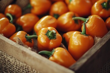 Sticker - Close-up of fresh orange mini bell peppers in a wooden crate.