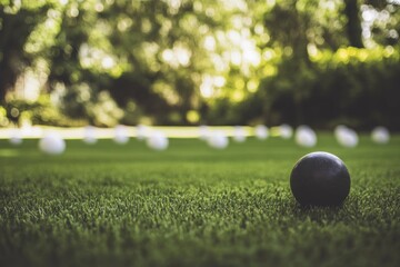 Wall Mural - Single black ball on green lawn with blurred white balls in background.