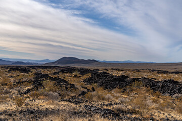 Wall Mural -  Cima volcanic field. Kelbaker Road, Mojave National Preserve. San Bernardino County, California. Mojave Desert / Basin and Range Province. Yucca schidigera, Mojave yucca or Spanish dagger