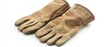 © TYNQ - A pair of worn work gloves, suggesting use in manual labor or outdoor activities.
