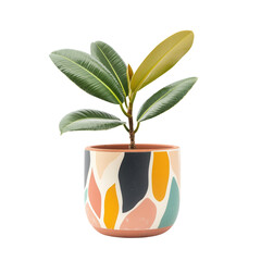 Poster - A stylish potted plant featuring vibrant, colorful leaves in a decorative terracotta pot with abstract patterns, white background, transparent background.