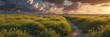 © methinee - Roadside grassland with white clouds drifting lazily across a vast expanse of yellow wildflowers, winding road, gentle breeze