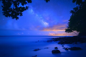 Stars and clouds above ocean, rocky shore, tree
