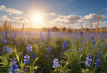 Field of blue flowers on tall grasses under sunny sky , blue field flowers, flower fields, natural beauty