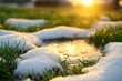 © Oxana39 - Melting snow at sunset over lush green grass with warm sunlight