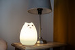 © Victoria - Silicone led battery powered night lamp in the night.  Toy shaped Night light.