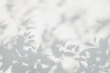 Aufkleber - Leaf shadow and tree branch background. Nature leaves tree branch light bokeh shadows sunlight sunshine shade on white wall texture for background wallpaper, shadows overlay effect foliage mockup