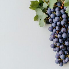 Canvas Print - Blue Grapes Isolated