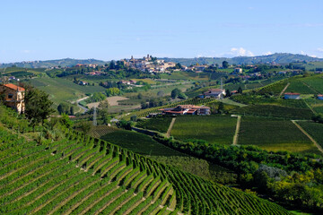 Wall Mural - Il paese di Neive nelle Langhe, visto da Barbaresco in provincia di Cuneo, Piemonte, Italia.