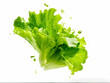 © ahmadrizal - Green Salad Splash: A burst of vibrant green, as fresh lettuce is frozen in mid-air, a perfect capture of juicy and healthy greens.
