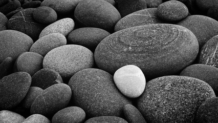 Aufkleber - A white rock is sitting on a pile of black rocks. The white rock is the only one in the pile