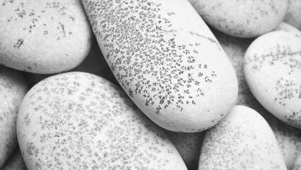 Aufkleber - Round  gray textured pebbles as a background for a template or web banner