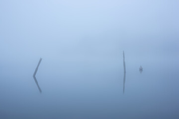 Canvas Print - Minimalistic artristic fine art Autumn foggy landscape image of wooden posts and rocks  in Derwentwater