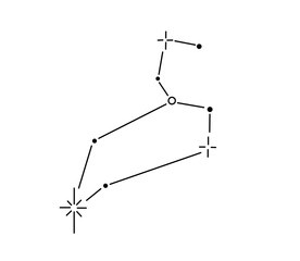 Wall Mural - vector isolated leo stars constellation zodiac stars map tattoo colorless black and white contour li
