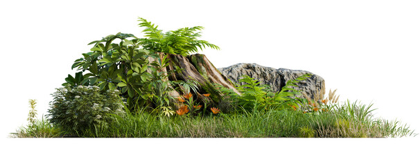 Aufkleber - Plant and grass group PNG transparent background, 3d illustration rendering