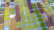 © I - Nursery of seedlings and plants view from above