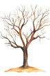 © inspiretta - A tree with brown branches and leaves is depicted in a watercolor painting