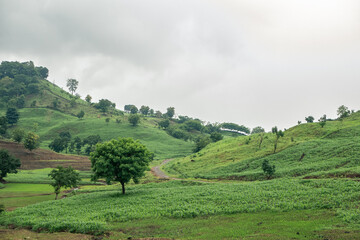 Wall Mural - landscape in the mountains