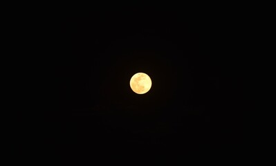 Wall Mural - bright yellow full moon floating on sky in night background