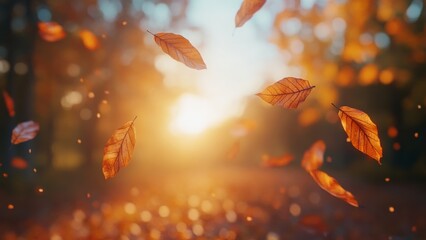Wall Mural - falling leaves on a serene autumn evening at sunset