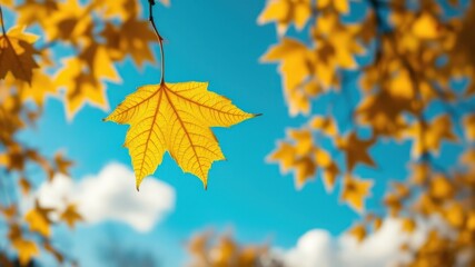 Single golden autumn leaf hanging against a vibrant blue sky and blurred background of yellow foliage.