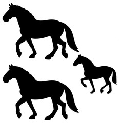 horse silhouette vector