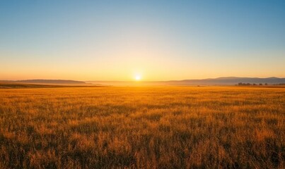 golden sunrise illuminating a grassy meadow with distant hills and a serene rural landscape