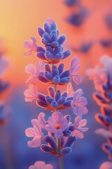 Poster - Beautiful lavender flowers in a rustic setting during sunset with a book and jar