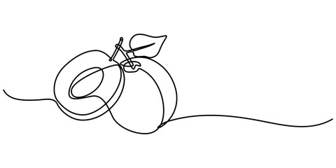 Plum vector illustration. One line drawing art illustration with lettering organic plum, Plum fruit in continuous line art drawing style. Minimalist black line sketch on white background. Pro Vector. 