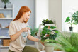 © Studio Romantic - Back view of a young cheerful girl housewife wearing casual clothes spraying water on a green potted plant standing in living room at home. Gardening and caring for houseplants concept.