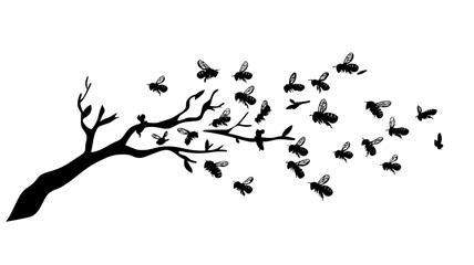 swarm of bees clustered on a tree branch, animal vector graphic