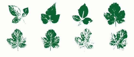 natural leaves imprint, grange style, vector, isolated, decorative elements for design