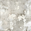 © martin - Vintage to do the old texture of the monochrome cement wall strong etched texture pure color gray tones