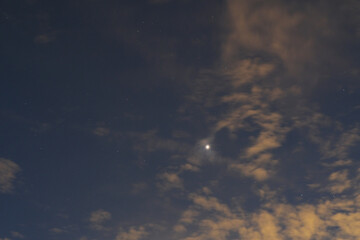 Wall Mural - venus is earth's brightest planet that shining in the western twilight after sunset