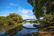 © Pedro - Reflections on the Lake in Ibirapuera Park - São Paulo, Brazil