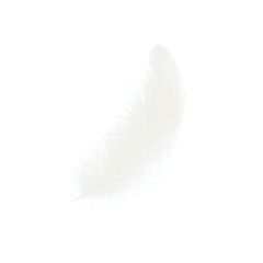 White feather isolated on transparent background