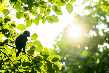 Silhouette of a Monkey Sitting on a Branch Surrounded by Lush Green Leaves and Sunlight in a Tropical Forest