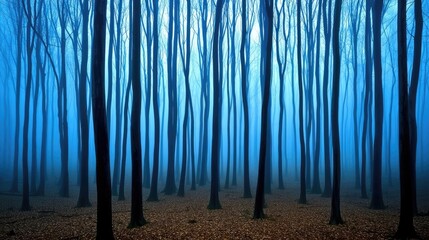 Poster - Mysterious fog idea. Mysterious foggy forest with tall, bare trees and a serene atmosphere.