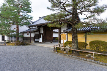 Wall Mural - Daikaku-ji Temple in winter season at arashiyama in Kyoto, Japan